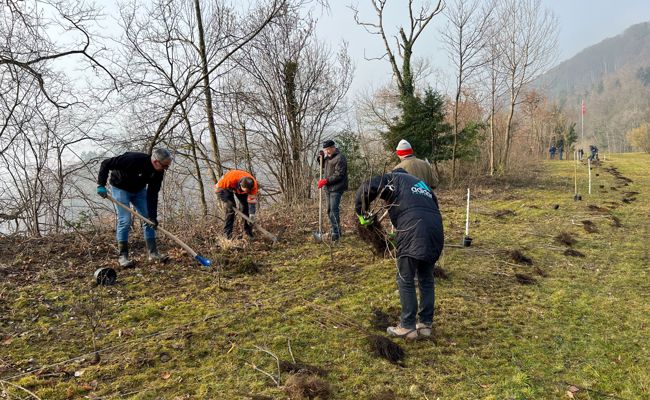 Rotary-Club Rheintal setzt sich mit Partnern in der Natur ein