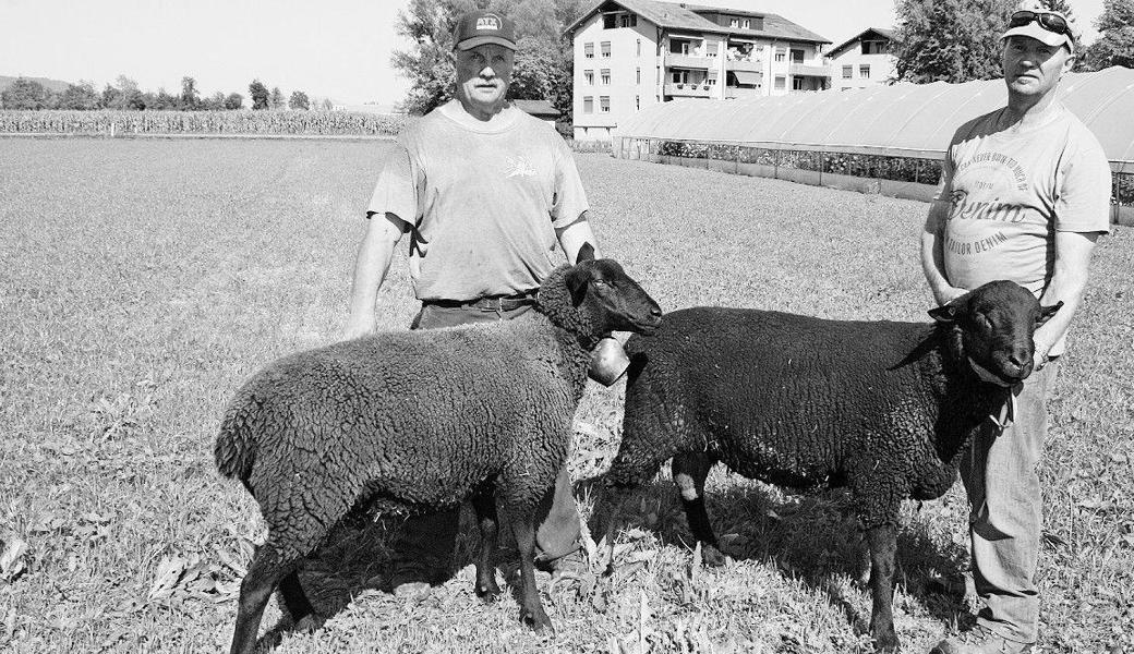 Der stolze Besitzer Elmar Wüst (l.) mit Aue Rita und Markus Wüst mit Widder Pascha. Bild: pd