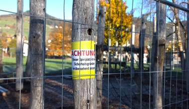 Bald wieder sicher: Der Spielplatz beim Schulhaus Roosen wird bis Ende November saniert