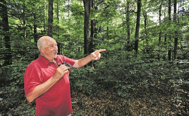 «Im Wald atmet man viel ringer»