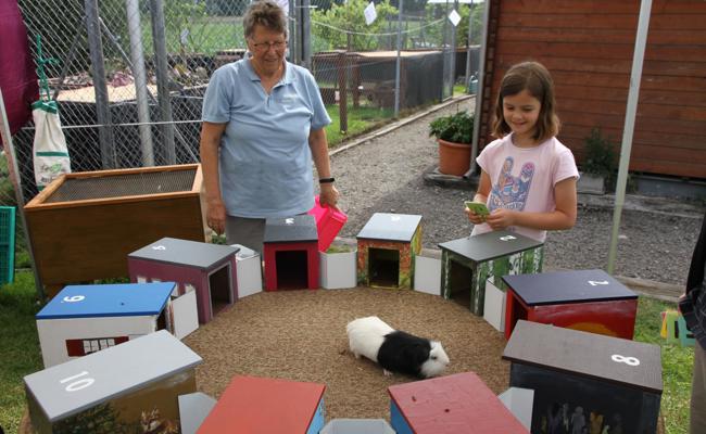 Jungtierschau in Rebstein war gut besucht