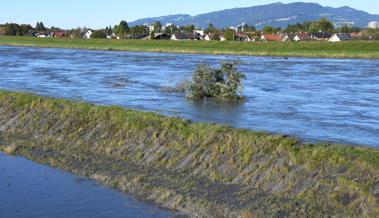 Wieder läuft der Rhein ins Vorland