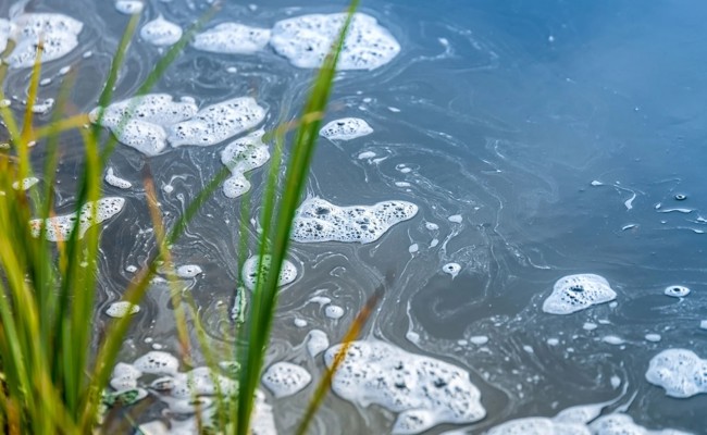 Gemüsebauer gibt nicht auf, obwohl er Gewässer verschmutzte – nun landet der Fall vor Bundesgericht