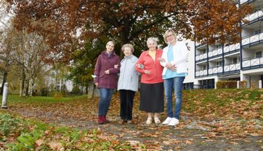 Park wird zum Adventsgarten
