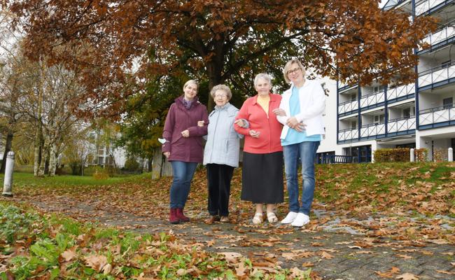 Park wird zum Adventsgarten