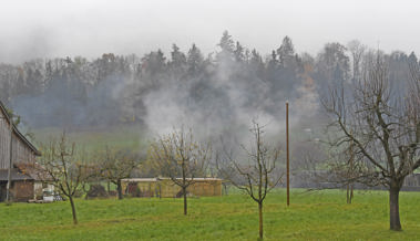 Ein Laubhaufen brennt im Regen, das produziert viel Rauch