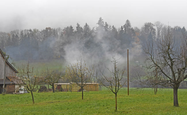 Ein Laubhaufen brennt im Regen, das produziert viel Rauch