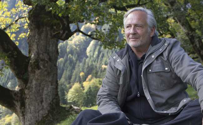 «Wir haben Angst vor der Natur», sagt Baumspezialist Conrad Amber. Er weiss, wie man die Angst überwindet