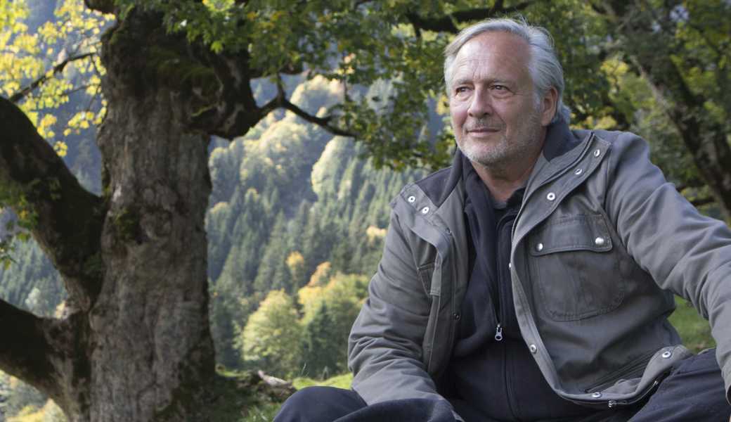 Der Österreicher Conrad Amber erforscht seit 15 Jahren Bäume und Wälder. 