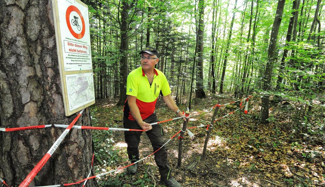 Hier sind in letzter Zeit immer wieder Mountainbiker den Wald hinab gefahren – direkt in die Wildruhezone. Mit Absperrbändern und einem Hinweisschild versucht Förster Robert Kobler, sie davon abzuhalten.