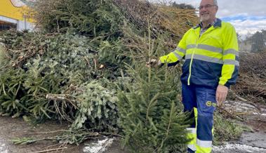 Video: Endstation für Christbäume