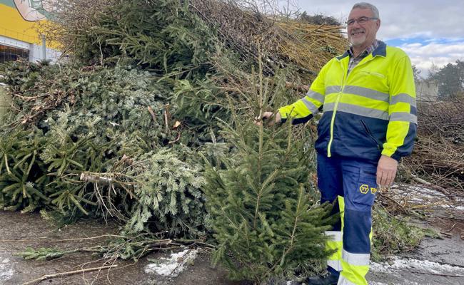 Video: Endstation für Christbäume