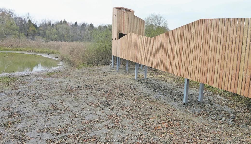 Der Beobachtungsturm eröffnet einmalige Ausblicke auf die Tier- und Pflanzenwelt am Alten Rhein.  