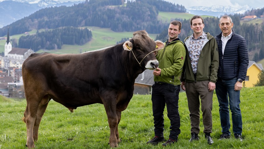 Besitzer Philipp Eisenhut hält den Hauptpreis, Stier Jonny, in Gesellschaft der Sponsoren-Vertreter aus dem Rheintal. Besitzer Philipp Eisenhut hält den Hauptpreis, Stier Jonny, in Gesellschaft der Sponsoren-Vertreter aus dem Rheintal.
