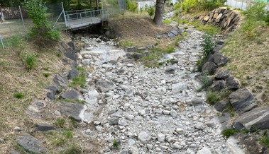 Staubtrocken: Selbst Bäche wie der Kesselbach führen kein Wasser mehr