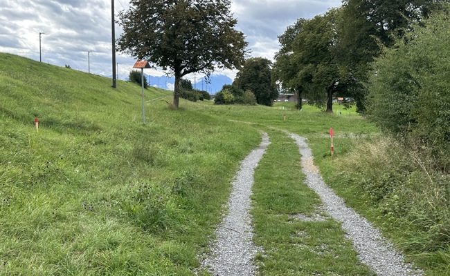 Interventionspiste in Widnau soll sicheren Zugang zum Damm gewährleisten