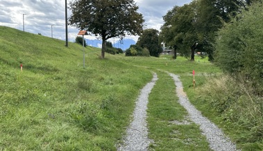 Interventionspiste in Widnau soll sicheren Zugang zum Damm gewährleisten Interventionspiste in Widnau soll sicheren Zugang zum Damm gewährleisten