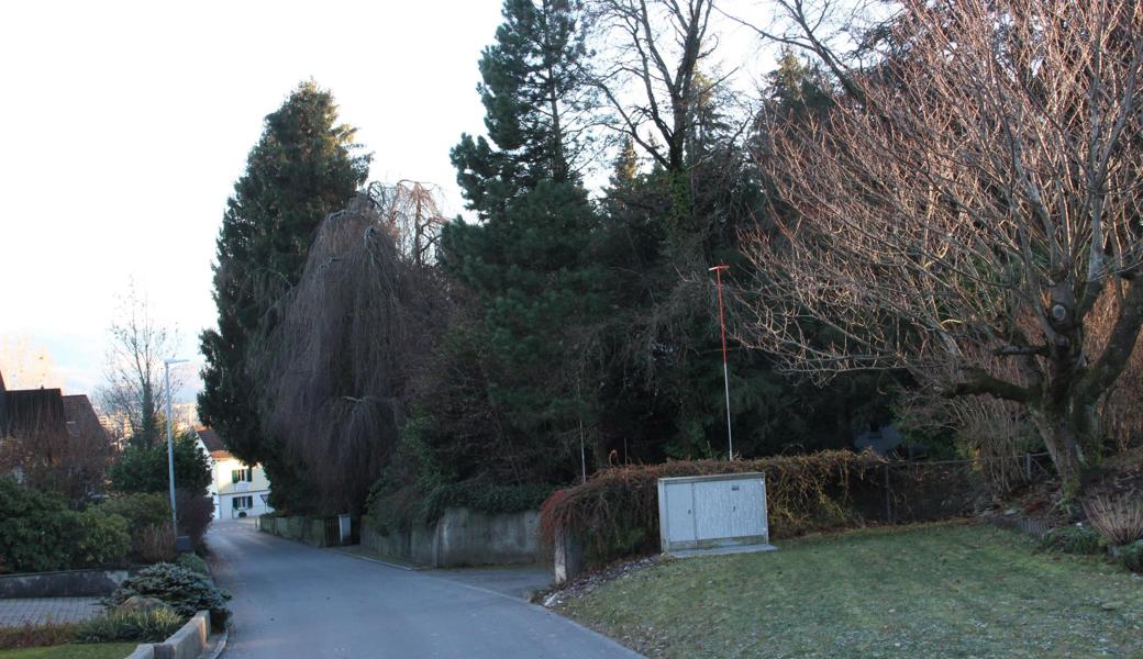 An der Blattenstrasse (die in die Heidenerstrasse mündet) sollen zwölf Einfamilienhäuser in verdichteter Bauweise entstehen.