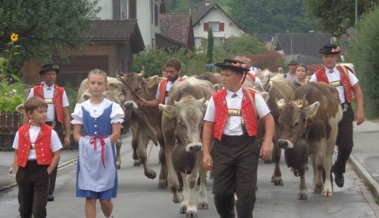 40 Rinder kehrten von der Alp Schaien-Rossberg heim