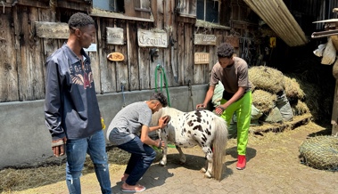 Kinder und Jugendliche des Vereins tipiti besuchten den Tratthof-Reitstall