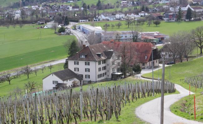 Verein "Sunshine for You" mietet ehemaliges Altersheim Forst