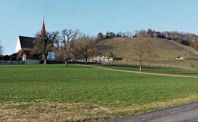 Antennengegner hoffen weiter