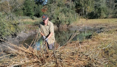 Pflege im Naturschutzgebiet