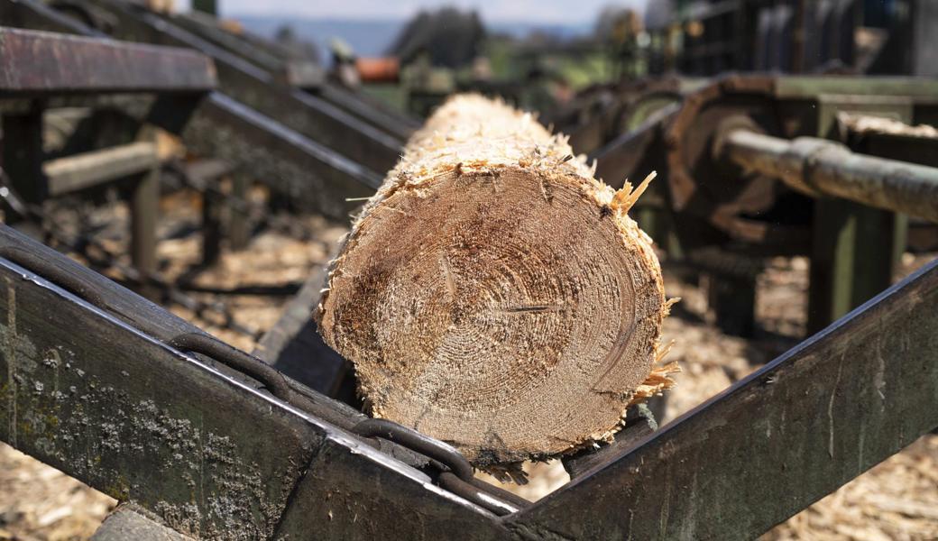 Engpässe beim Holz: Verschiedene Faktoren führen derzeit zu schwierigen Rahmenbedingungen in der Holzbranche.  