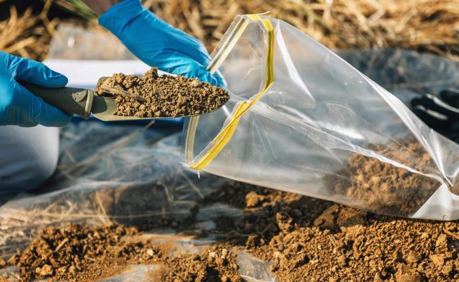 Dioxinbelastung im Boden liegt unter dem Grenzwert
