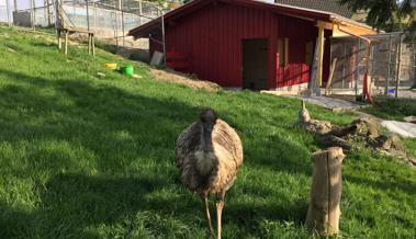 Ein neues Zuhause für viele Tiere