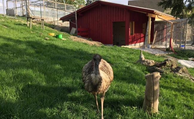 Ein neues Zuhause für viele Tiere