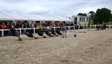 Pfingstturnier mit spannendem OKV-Cup auf der Rheininsel