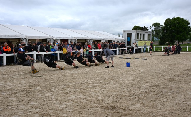 Pfingstturnier mit spannendem OKV-Cup auf der Rheininsel