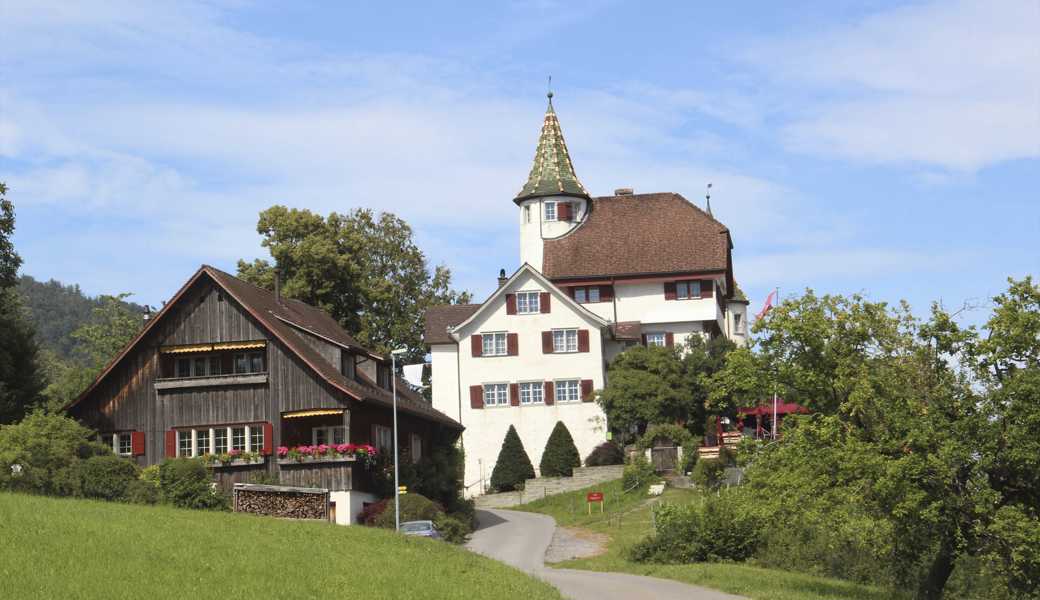 Derzeit finden im Schloss Weinstein nur zivile Trauungen statt, doch die Schlosseigentümer sind bestrebt, für den Restaurationsbetrieb möglichst bald eine Nachfolgelösung zu finden. 