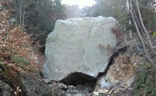 Sprengung im Tobelwald