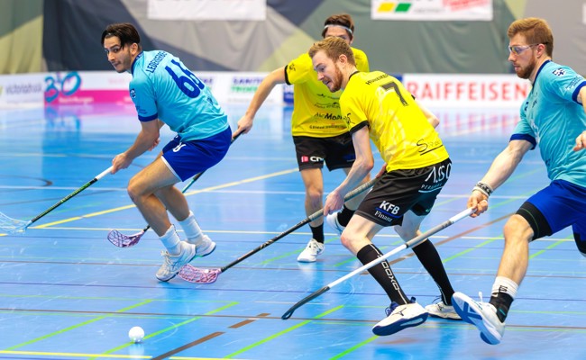 Die Gators erfüllen ihre Pflicht im Schweizer Cup souverän
