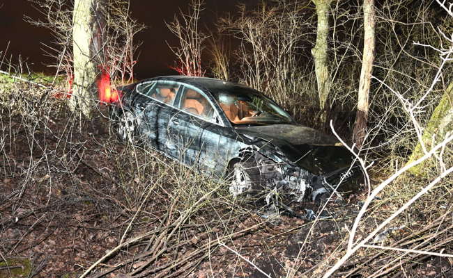 59-Jähriger kommt mit dem Auto von der Strasse ab und landet im Wald