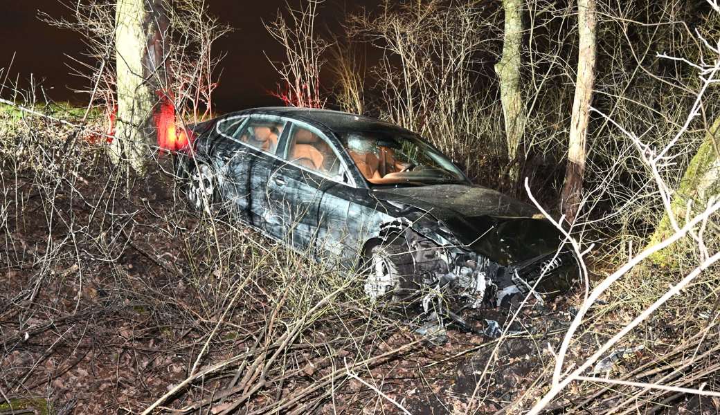 Das Auto prallte gegen Bäume und Sträucher.