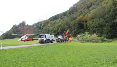 Viel Holz muss weg
