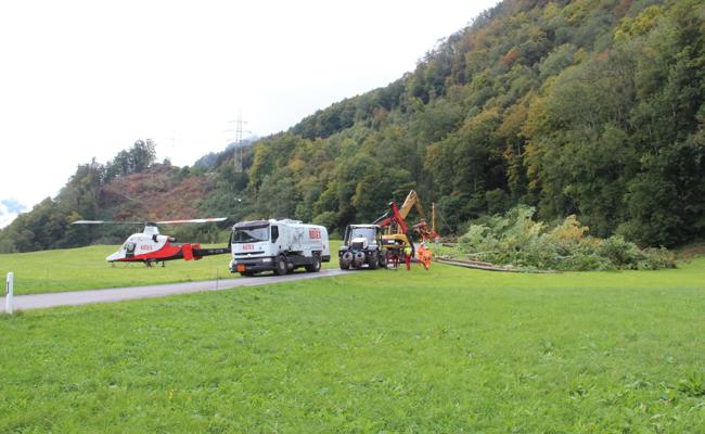 Viel Holz muss weg