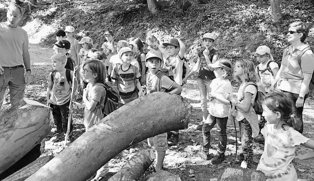 Die Kinder hörten dem Förster aufmerksam zu. Bild: pd