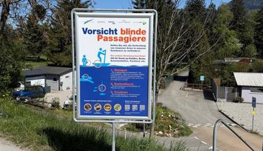 Kampf gegen die Quaggamuschel: Gemeinde klärt mit Kampagne auf