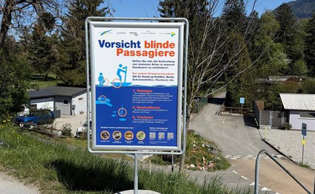 Kampf gegen die Quaggamuschel: Gemeinde klärt mit Kampagne auf