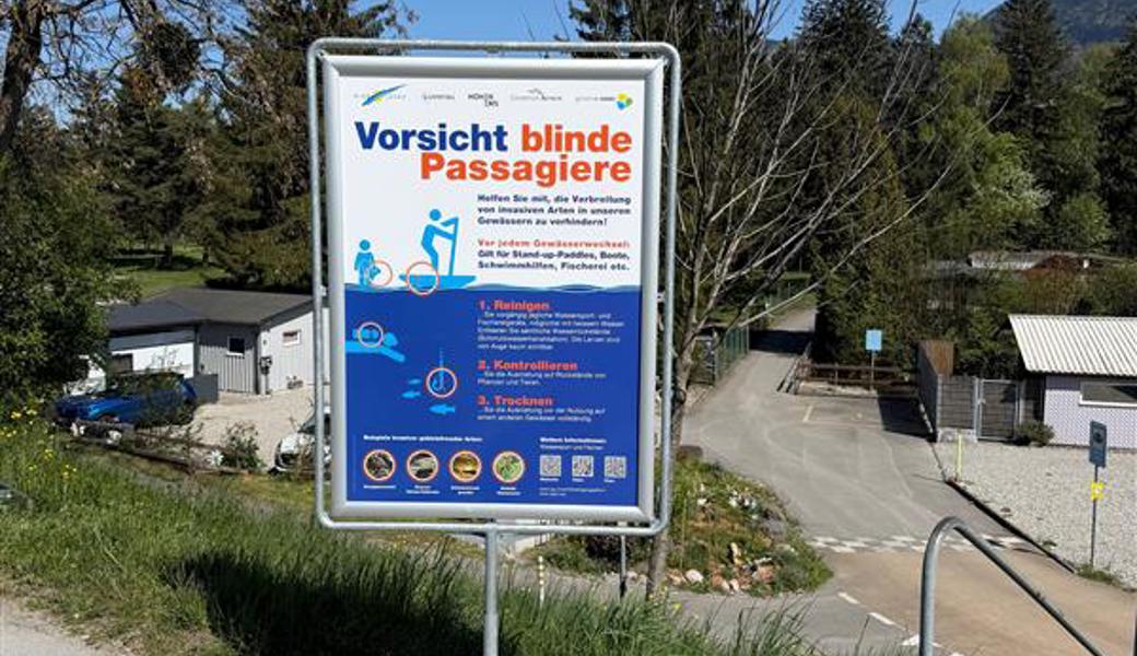 Kampf gegen die Quaggamuschel: Gemeinde klärt mit Kampagne auf