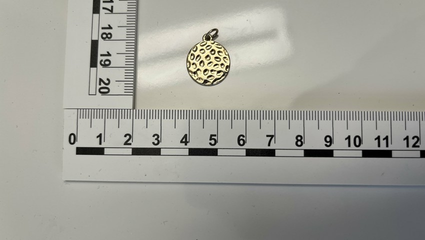 Sicherstellung E 1.13 Anhänger Sicherstellung E 1.13 Anhänger