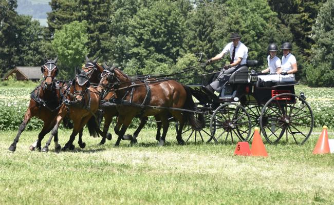 Rheintaler Sieg am Heim-Fahrcup