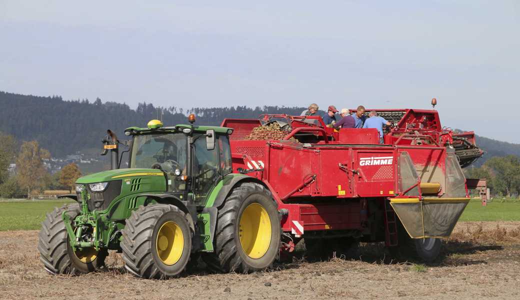 Die Kartoffelernte fällt dieses Jahr aufgrund von extremen Wetterbedingungen schlechter aus als im Vorjahr.