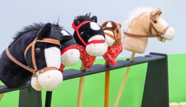 Was Kastanienmännchen mit Hobbyhorsing zu tun haben