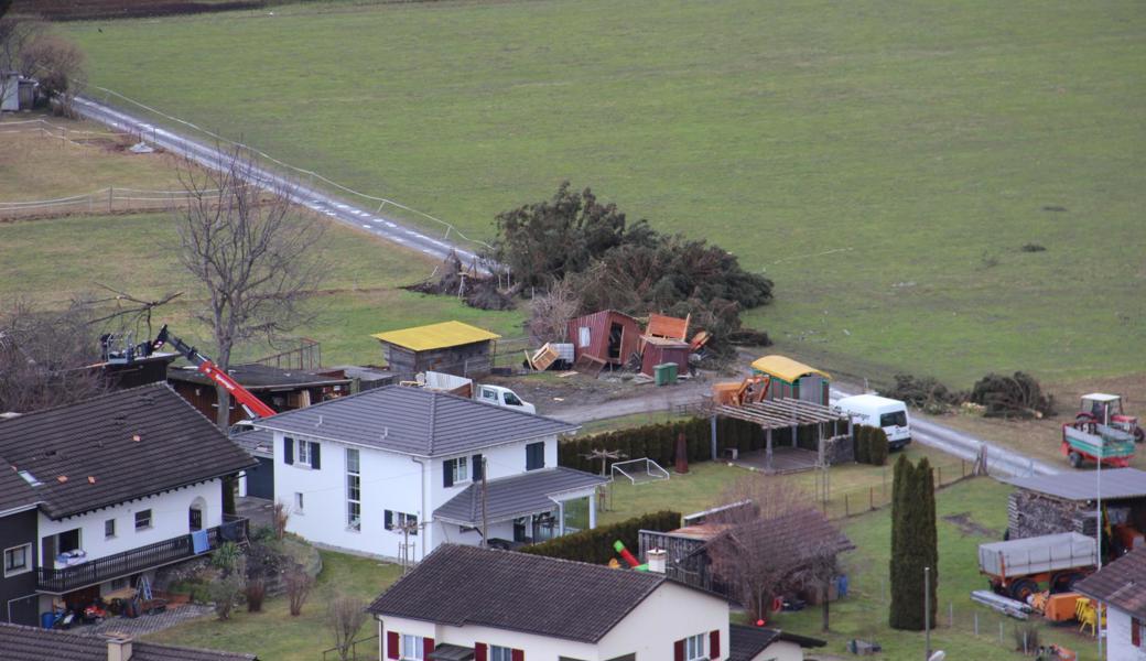 Dieses Bild, aufgenommen vom Montlinger Bergli, zeigt, wie der Sturm eine ganze gesunde Baumgruppe zerstört und das Dach eines Schafstalls (links) weggerissen hat; schon früh am Montag Morgen ist mit der Reparatur begonnen worden.