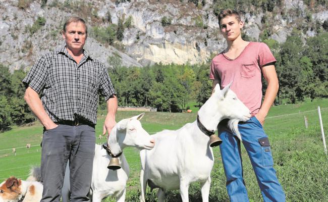 Die Schönsten des Landes